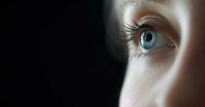 THE LINK BETWEEN CHOLESTEROL AND EYE HEALTH