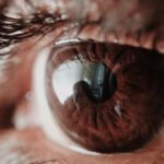 Essential practices for nurturing healthy eyesight in the next 12 months