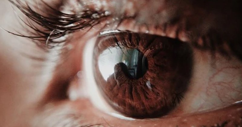 Essential practices for nurturing healthy eyesight in the next 12 months